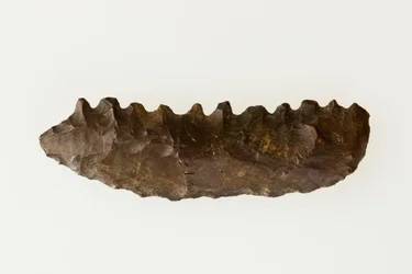 Bifacial sigd, ca. 4500–4000 f.Kr. (flint)