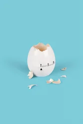 Egg, 2021 (bilde)