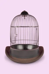 Mentalt bur, 2020 (bilde)