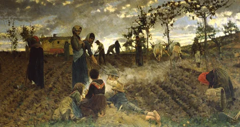 Seeding i Toscana