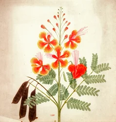 Blomsterstudie, ca. 1840 (akvarell)
