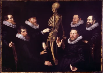 Anatomieleksjonen til Dr. Sebastian Egbertsz. Den frie