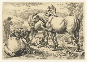 Tre hester Dyr (serietittel)