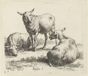 Tørk sauene Schapen (serietittel) Dyr trukket til livet og trykt i vann av sterk luft av Studio and Art of Nicolai Berchem (serietittel)