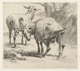 Pissende ooi en een schaap Schapen (series title) Animalia ad vivum delineata et aqua forti aeri impressa Studio et Arte Nicolai Berchemi (series title)   1361670   no       norwegian Successfully Translated  Original: Landscape with Figure on the Bank of 