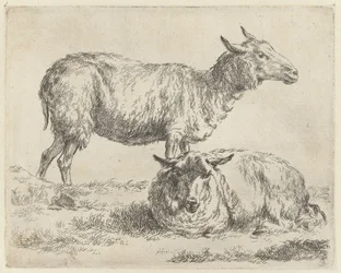 Staand en liggend schaap Schapen (serietittel) Dyr trukket til livet og trykt med sterkt vann i Nicolai Berchems studio og kunst (serietittel)