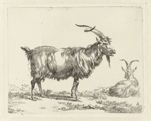 To geiter Geiten (serietittel) Dyr trukket til livet og trykt med vann for sterk luft av Studio and Art of Nicolai Berchem (serietittel)