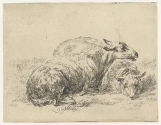 Twee ligende schapen Schapen (serietittel) Dyr trukket til livet og trykt i vann av sterk luft av Studio and Art of Nicolai Berchem (serietittel)