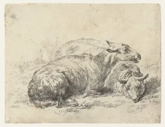 Twee ligende schapen sau (serietittel) Dyr trukket til livet og trykt i vann av sterk luft av Studio and Art of Nicolai Berchem (serietittel)