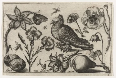 Blomster, en pære og en due Fugler, blomster, insekter etc. (serietittel)