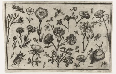 Blomster, en flue og en snegl Fugler, blomster, insekter etc. (serietittel)