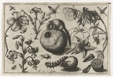 Blomster og en mus på et eple Fugler, blomster, insekter etc. (serietittel)