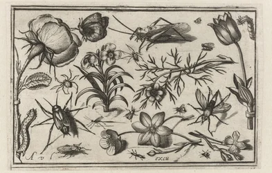 Blomster og insekter Fugler, blomster, insekter etc. (serietittel)