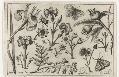 Blomster og sommerfugler Fugler, blomster, insekter etc. (serietittel)