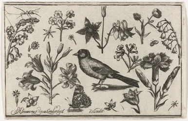 Blomster, sommerfugl og en fugl Fugler, blomster, insekter etc. (serietittel)