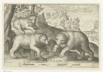 tre bjørner Animalivm qvadrvpedvm (serietittel) Dyr i landskap (serietittel)
