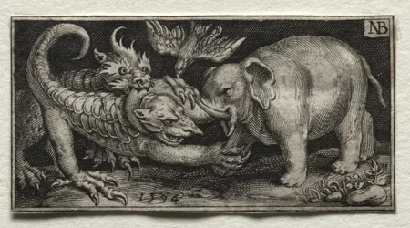 Elefant som kjemper mot to dyr