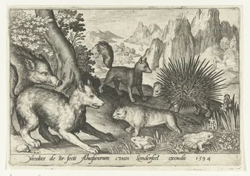 Villsvin, rev, bever, piggsvin og frosker Animalivm qvadrvpedvm (serietittel) Dyr i landskap (serietittel)