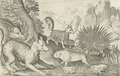 Villsvin, rev, bever, piggsvin og frosker. 1621
