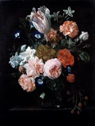 En tulipan, nelliker og morgenglans i en glassvase, 1600-tallet.