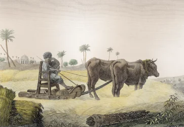 Harvesting Corn, fra bind II Arts and Trades av 