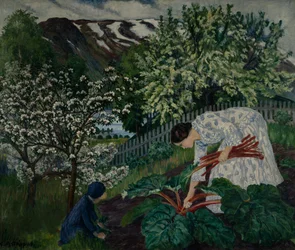 Rabarbra