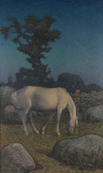 Hvit hest i skumringen