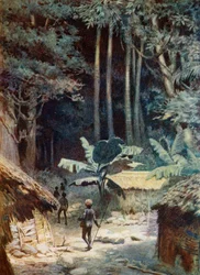 I dypet av en melanesisk skog, 1908
