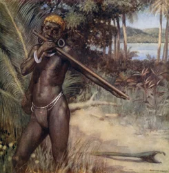 Solomon Islander spiller "Ivivu" eller fløyte (farge litho)