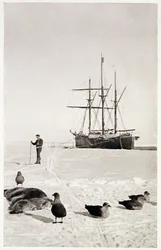 «Fram» i Hvalbukta, fra «Sydpolen: En beretning om den norske Antarktisekspedisjonen med «Fram»»