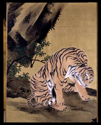 Tigre i et landskap