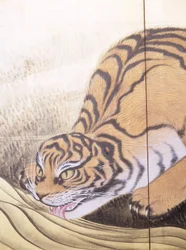 Tigre i et landskap