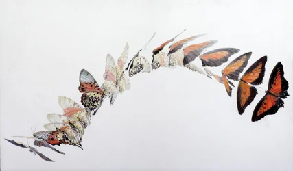 Charaxes zingha flymønster, 2016 (akryl på gessoert tre)