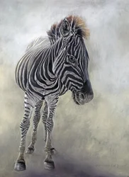 Equus burchelli 1, 2009 (kull, conte og krittpastell på Bockingford-papir)