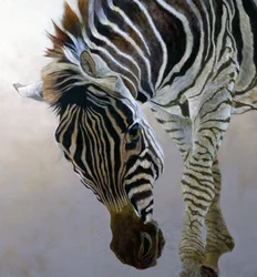 Equus burchelli 2 (detalj), 2010 (akryl på lerret)