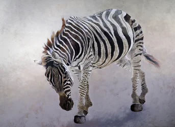 Equus burchelli 2, 2010 (akryl på lerret)