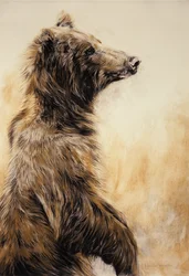 Grizzly Bear 2, 2002 (karbonblyant, kull og kritt)