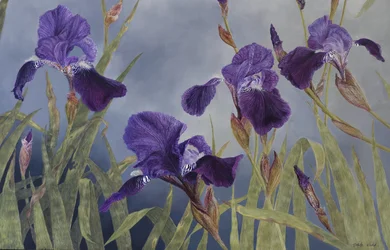 Iris hybrida (detalj), 2015 (akryl på gessoert treverk)