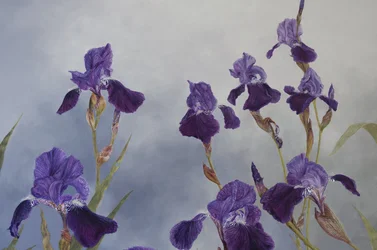 Iris hybrida (detalj), 2015 (akryl på gessoert treverk)