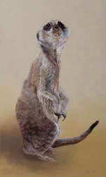 Meerkat 2, 2010 (akryl på tre)