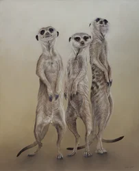 Surikater, 2014 (akryl på gesso-tre)