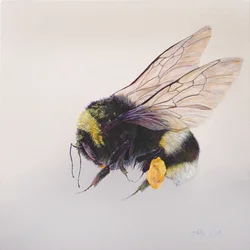 Pollensekk 2, 2011 (akryl på tre)