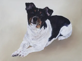 Spike, 2012 (akryl på tre)
