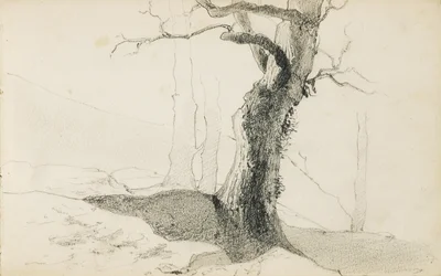 Tegning fra et album med tittelen "The Baskerland", 1862-63