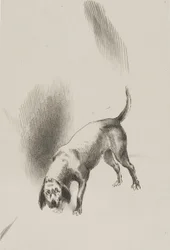 Han [fortellerens hund] holdt blikket festet på meg med et så merkelig blikk, plansje 3 av 6