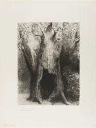 Jeg stupte inn i ensomhet. I Dwelt in the Tree behind Me, plate 9 av 24