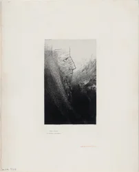 Saint Anthony: "Hjelp meg, o min Gud!", plate 2 av 24