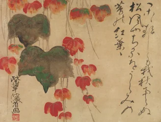 Autumn Ivy, etter 1732.