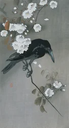 Kråke i en kirsebærblomstgren