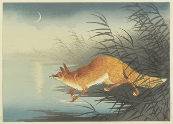 Fox by the Moonlit Water, 1930-tallet (treblokktrykk i farger)
